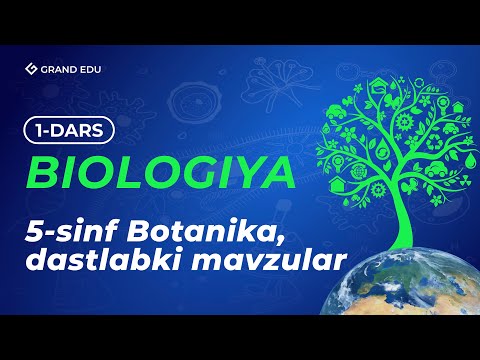 Video: Iskala biologiyada nimani anglatadi?