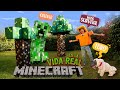 Domestico un lobo de minecraft en la vida real