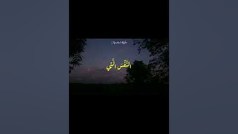 والذين لا يدعون مع الله إلها آخر - تلاوة للشيخ ناصر القطامي من سورة الفرقان | part 2