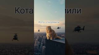 откормили Котяру 😳😂 #sora #funny #sora2 #cat #сора #memes #shorts #кот #юмор