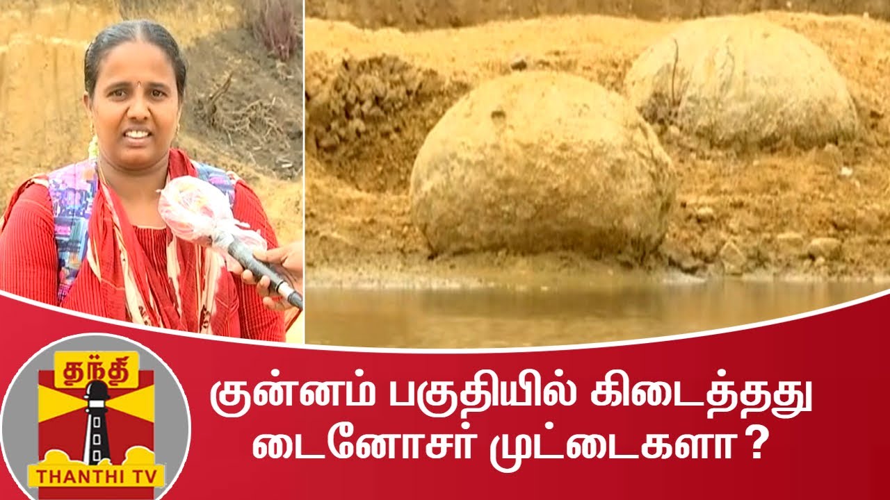 குன்னம் பகுதியில் கிடைத்தது டைனோசர் முட்டைகளா..? | Dinosaur eggs | Round Rocks