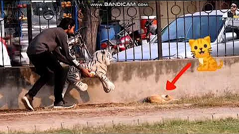 Best Reaction Prank Part 28 || BY AJ-AHSAN ||