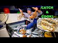 MACKEREL - Catch Clean Cook ! Spidercrab & Mackerel Fishing From a BOAT