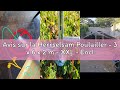 Avis sur la Herrselsam Poulailler - 3 x 6 x 2 m - XXL - Enclos avec Serrure de sécurité et Chiffon d