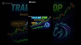 Trailing Stop spiegato semplice: come proteggere i profitti senza panico