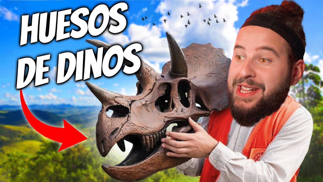 CON HUESOS DE DINOSAURIOS HICE MI PROPIO MUSEO