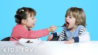 Kids Try Chocolate Dishes from Around the World | Kids Try | HiHo Kids