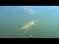 Подводная Охота в Хакасии 2021