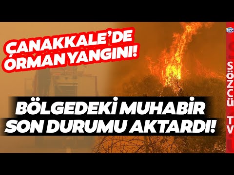 SON DAKİKA Çanakkale'de Orman Yangını! Deniz ve Kara Yolu Trafiğe Kapatıldı