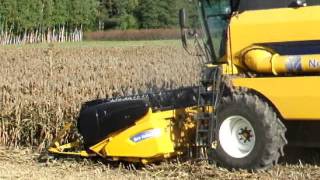 Sorgo w Polsce 2015 ( Sorghum Harvest in Poland 2015)