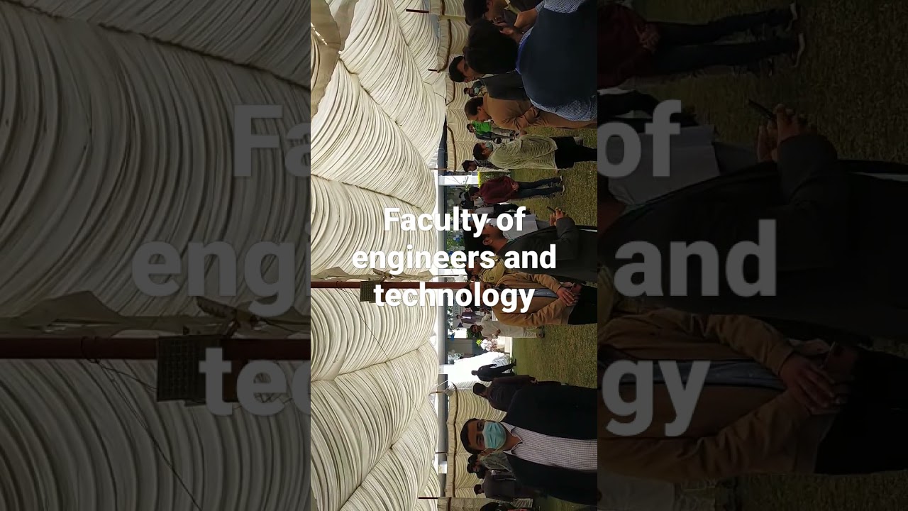 Information technology thesis show