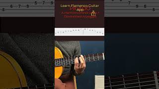 PICADO LESSON- Flamenco Guitar