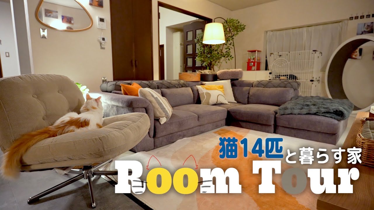 【Room Tour】猫14匹と暮らす家、覗いていきませんか?
