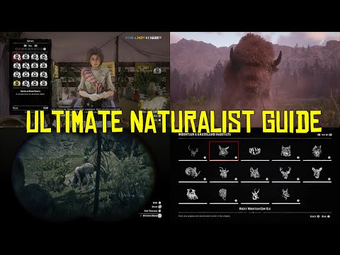 Red Dead Online Ultimate Naturalist Guide, How To Make Money With The Naturalist Role!