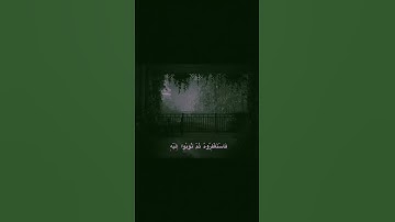 فاستغفروه ثم توبوا إليه | محمد صديق المنشاوي | سورة هود