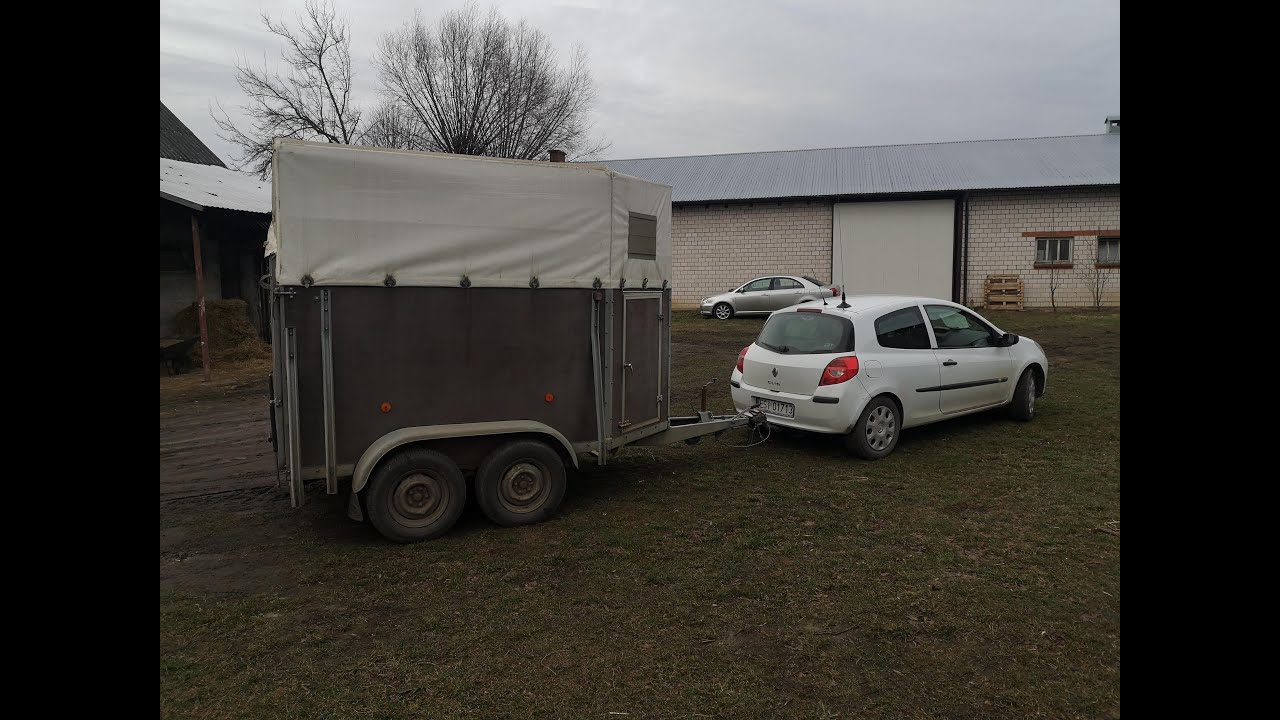 Pojechałem Clio kupić prosiaki :O Jaka cena ? Ile kupiłem ?