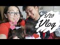 (Vlog) こっちゃんの靴を買う！