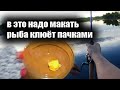 В это надо макать крючки,рыба дуреет и клюёт пачками, дип для насадок и наживок