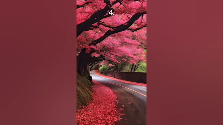 Which road would you walk alone?✨🚶 #aesthetic #aurora #relaxing #vibes #asmr