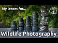 Choosing a lens for wildlife photography