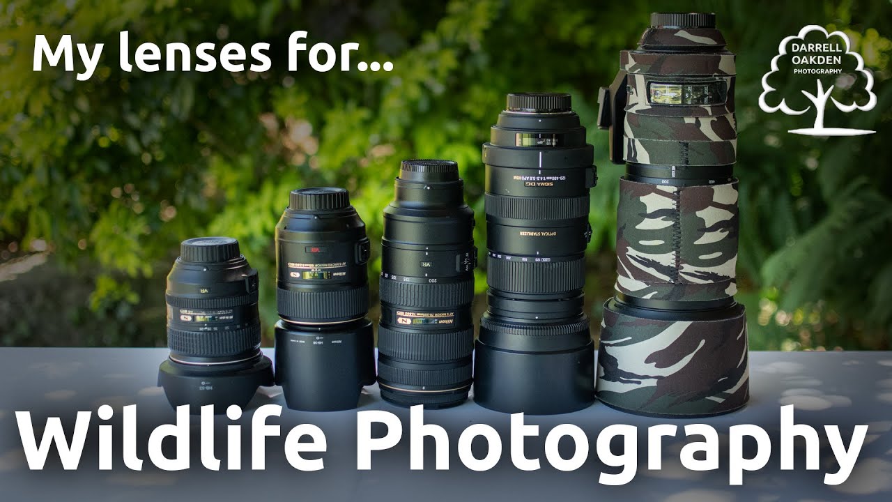 Choosing A Lens For Wildlife Photography YouTube Choosing A Lens For Wildlife Photography YouTube