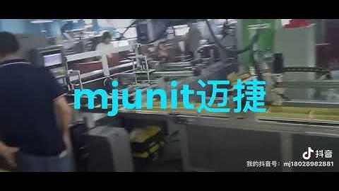 mjunit XY axis linear reciprocating gantry guide rail, multi working position production line with