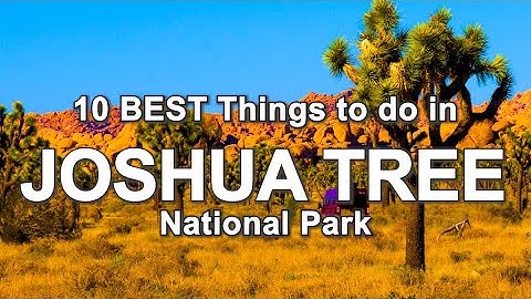 What to do in Joshua Tree National Park 🌵 California Travel Guide ☀️ Best Hikes and Places to see