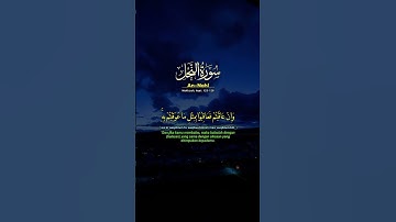 #سورة_النحل #عبدالجليل #اذكروا_الله #راحة_نفسية #الله #صلوا_على_النبي #قران_كريم #قرآن #هدوء #لايك