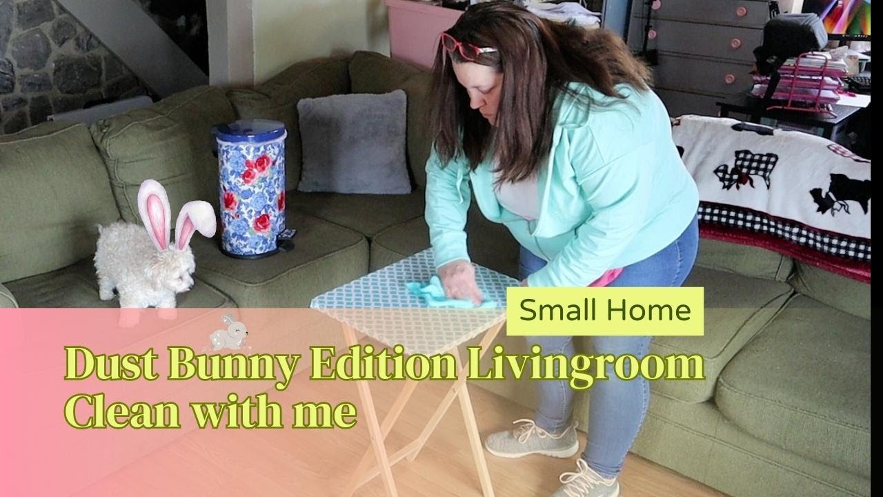 Living room CLEAN WITH ME // small home // DUST BUNNIES! // Cleaning