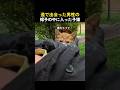 道で出会った男性の帽子の中に入った子猫