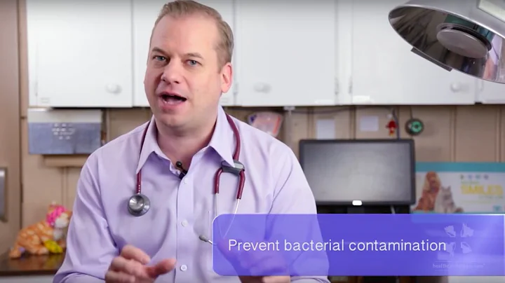 Vet Guide | General Info and Tips About Feeding a Raw Food Diet to Cats and Dogs