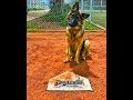 10mo German Shepherd Rysha~ Best German Shepherd OffLeash Training~ K9 E-Collar Training Arizona 10mo German Shepherd Rysha~ Best German Shepherd OffLeash Training~ K9 E-Collar Training Arizona