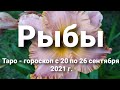 Рыбы Таро - гороскоп с 20 по 26 сентября  2021 г.