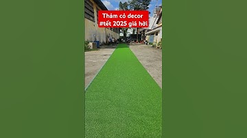 Thảm cỏ nhân tạo trang trí #tet2025 | 0799.180019