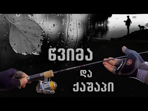 წვიმა და ქაშაპი