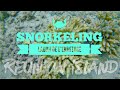 Snorkeling with sea turtles lagon de lermitage reunion island  gopro