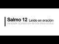 SALMO 12 leído en oración para entrar en comunión con Dios todos los días