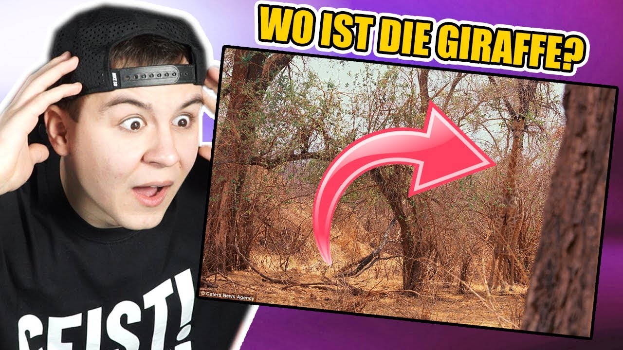 NUR ALIENS KÖNNEN DIESEN FEHLER SEHEN! - Fehler Challenge  [Deutsch/HD]