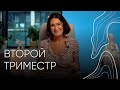 Второй триместр | Акушер - гинеколог Людмила Шупенюк