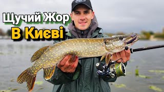 видео: ЩУКА Клює СКРІЗЬ!✅ Ловля Щуки та Судака на Дніпрі. Рибалка в Києві. картинка: ЩУКА Клює СКРІЗЬ!✅ Ловля Щуки та Судака на Дніпрі. Рибалка в Києві.