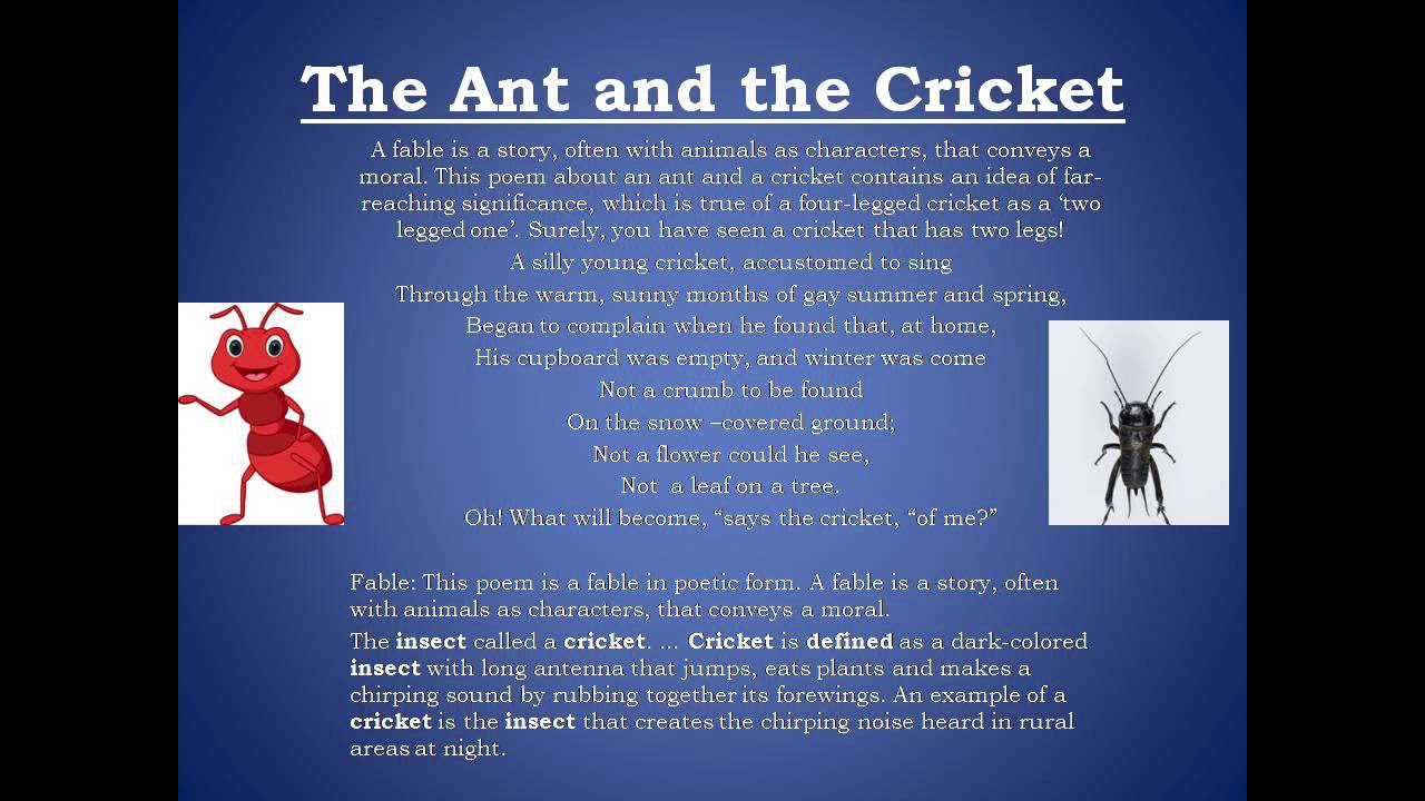  Topic The Ant And The Cricket English Class VIII YouTube