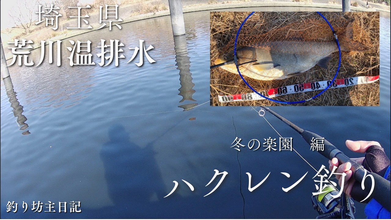 釣り坊主日記－３９ 2026年2月　埼玉県　荒川温排水　ハクレン釣り　冬の楽園　編
