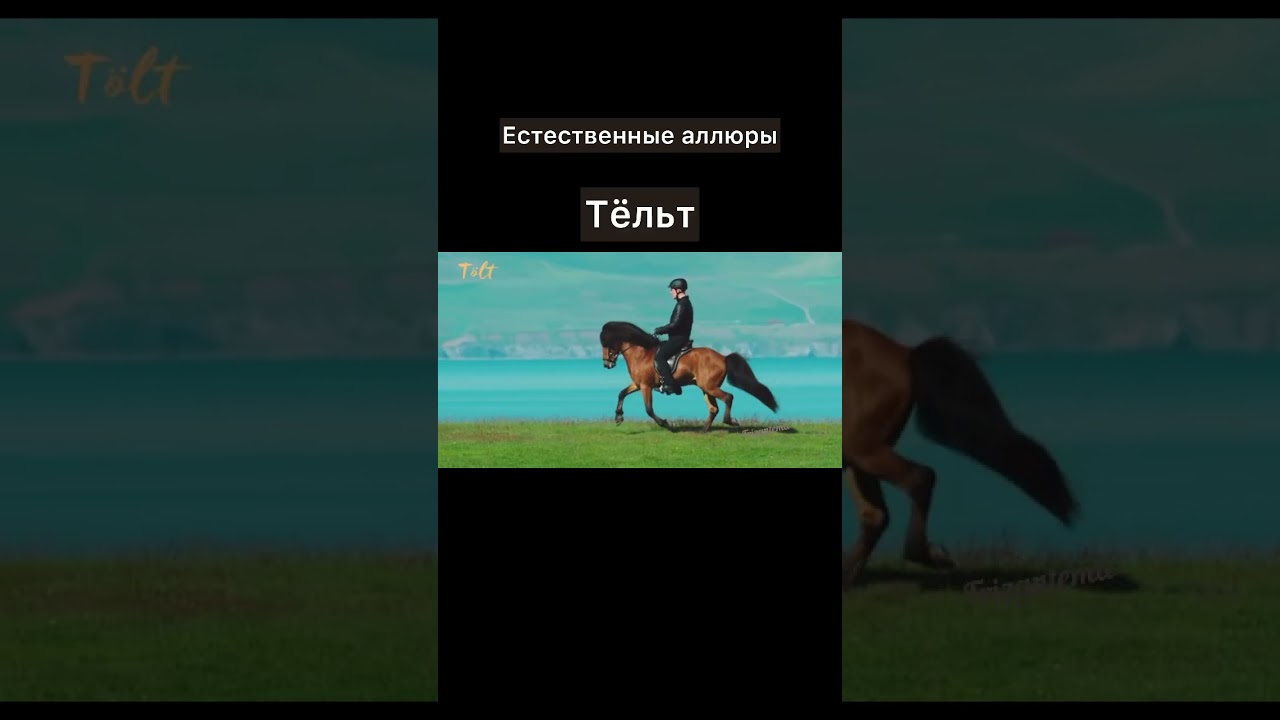 Аллюры. Базовые и дополнительные (рэк, тёльт, пасофино и т д)