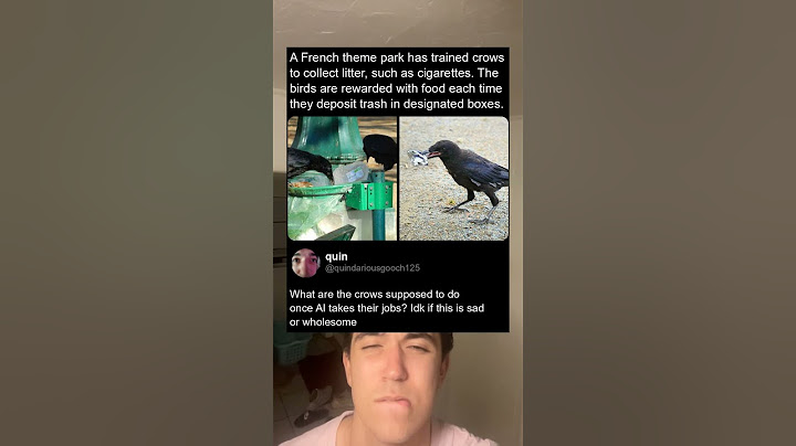 What will they do