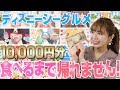 【衝撃の品数】超過酷！ディズニーシーグルメで1万円使い切るまで帰れません