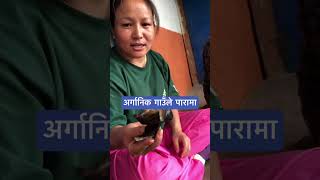 Tamatar aago ma polera banako achar 🍅 | Sungur ko kan sanga khako 😋 | Nepali Village Food