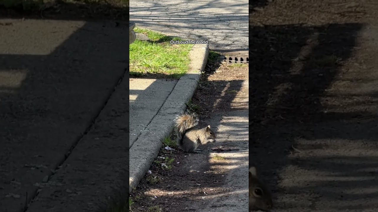 Walking at Silver lake park 