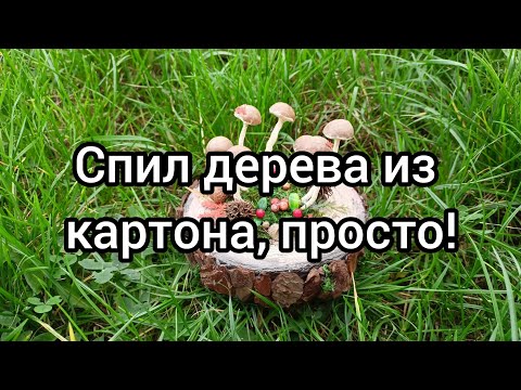 спил дерева из картона. Осеняя композиция, поделка из того, что под руками 🍂