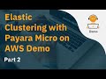 Elastic Clustering with Payara Micro on AWS Demo Part 2