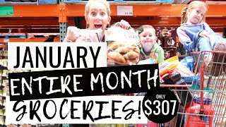 $307 January 2020 ONE MONTH GROCERY HAUL | Grocery Shopping at Costco & Target on a Budget